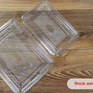 Caserole din plastic